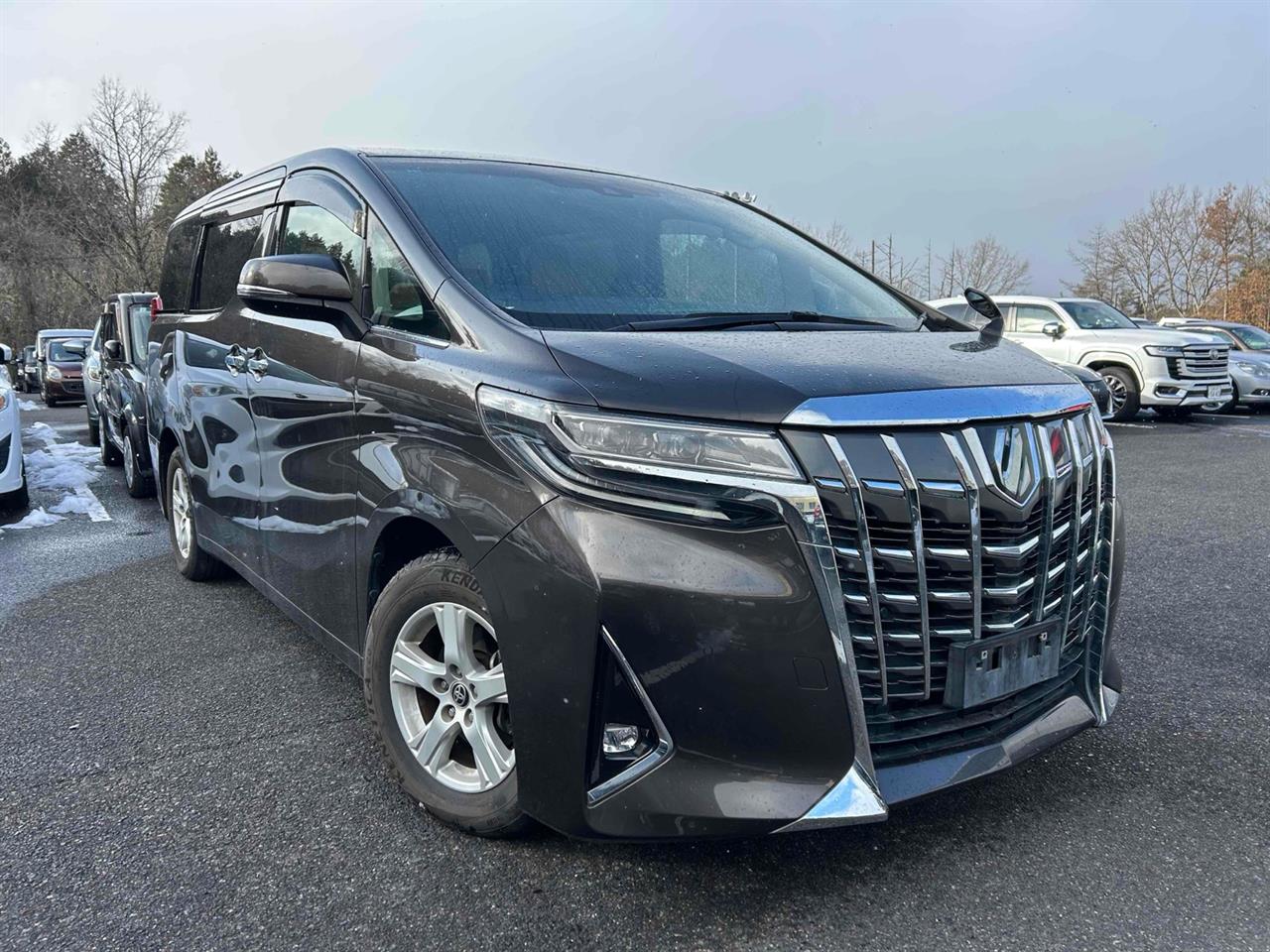 2020 Toyota Alphard