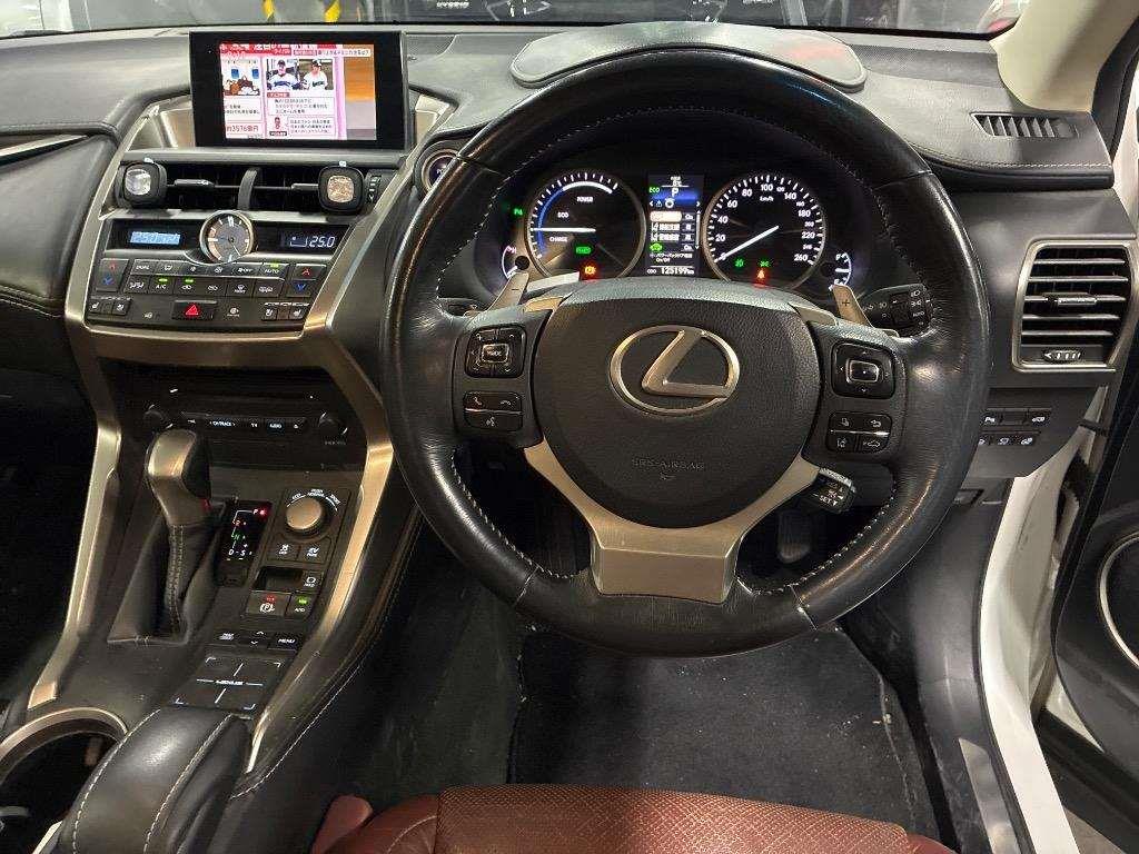 2014 Lexus NX300H