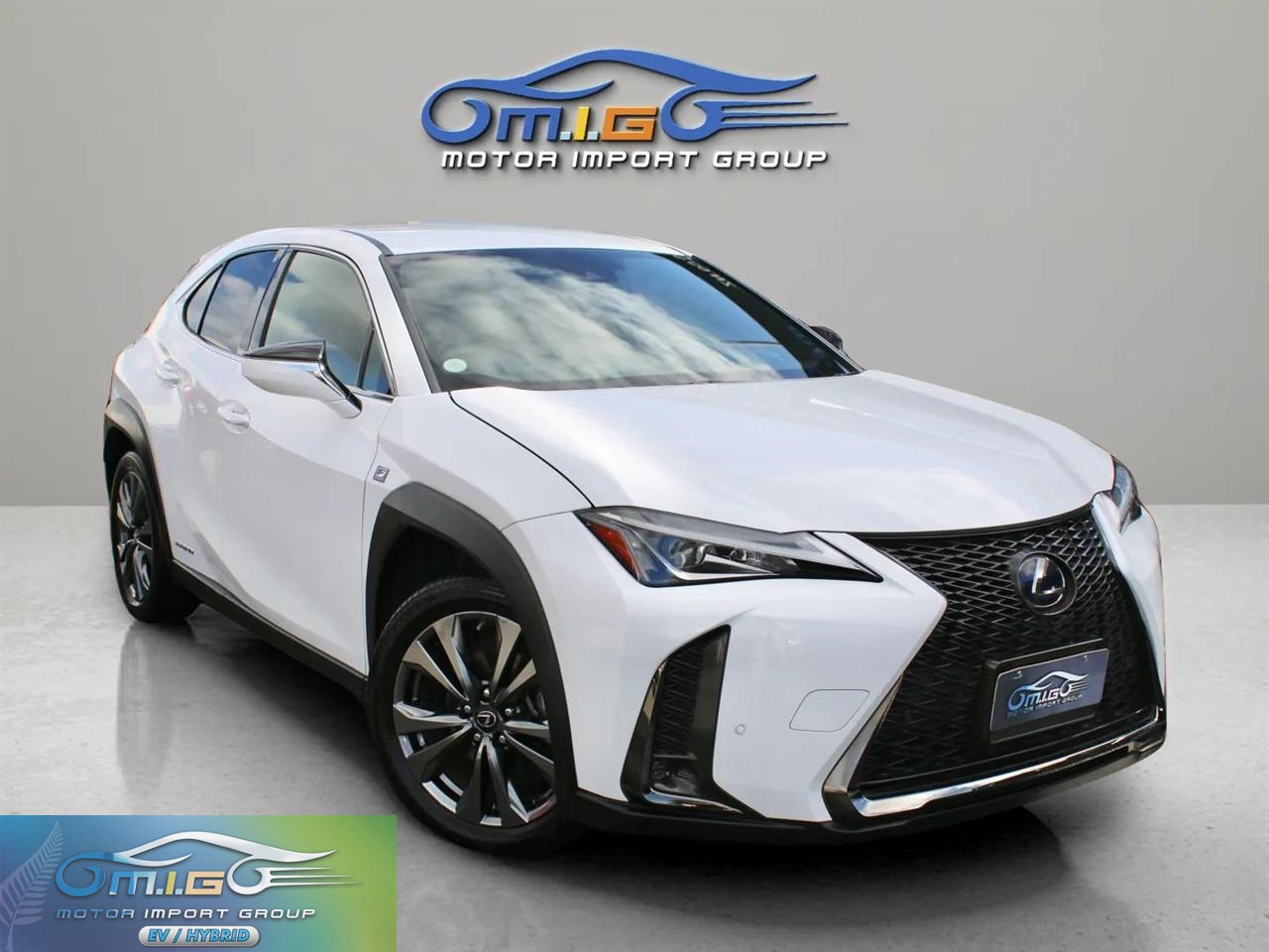 2019 Lexus UX250H