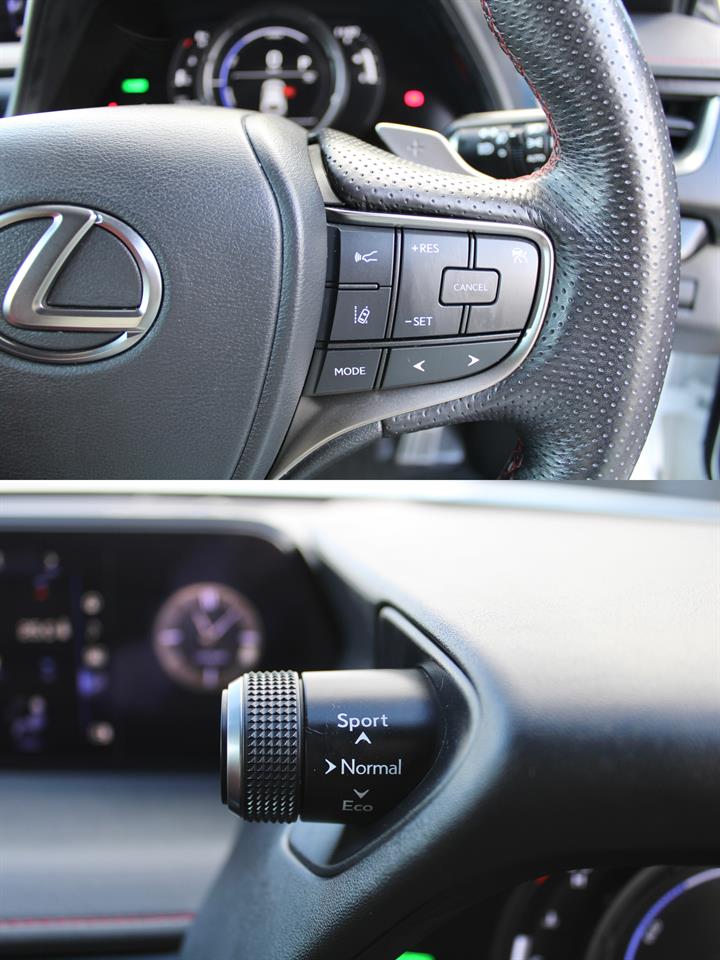 2019 Lexus UX250H