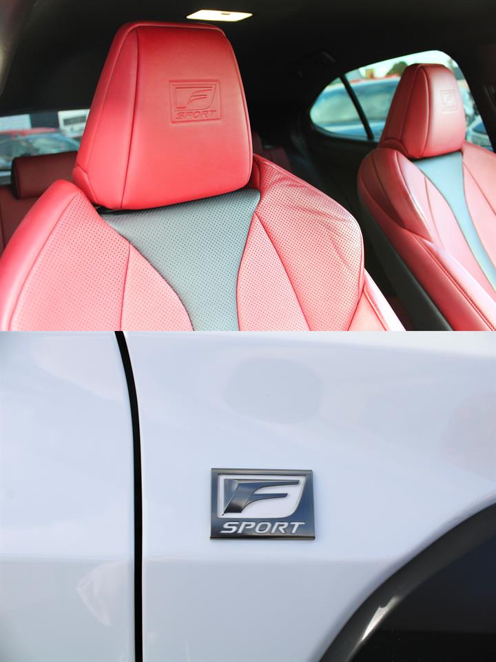 2019 Lexus UX250H