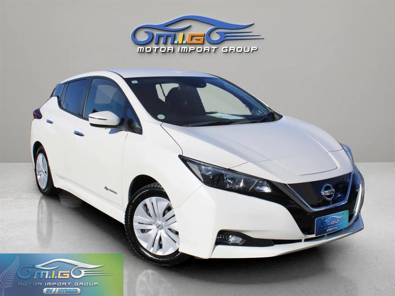 2019 Nissan Leaf