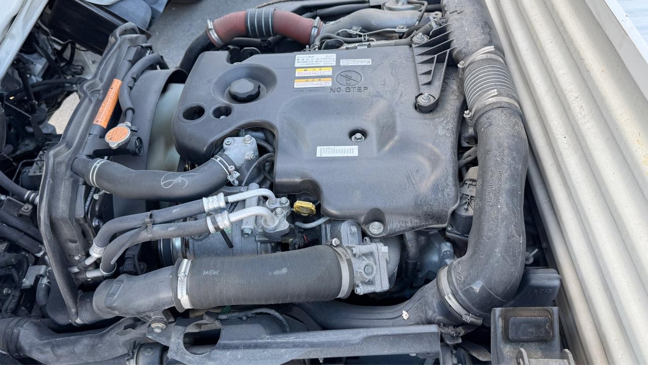 2019 Isuzu Elf