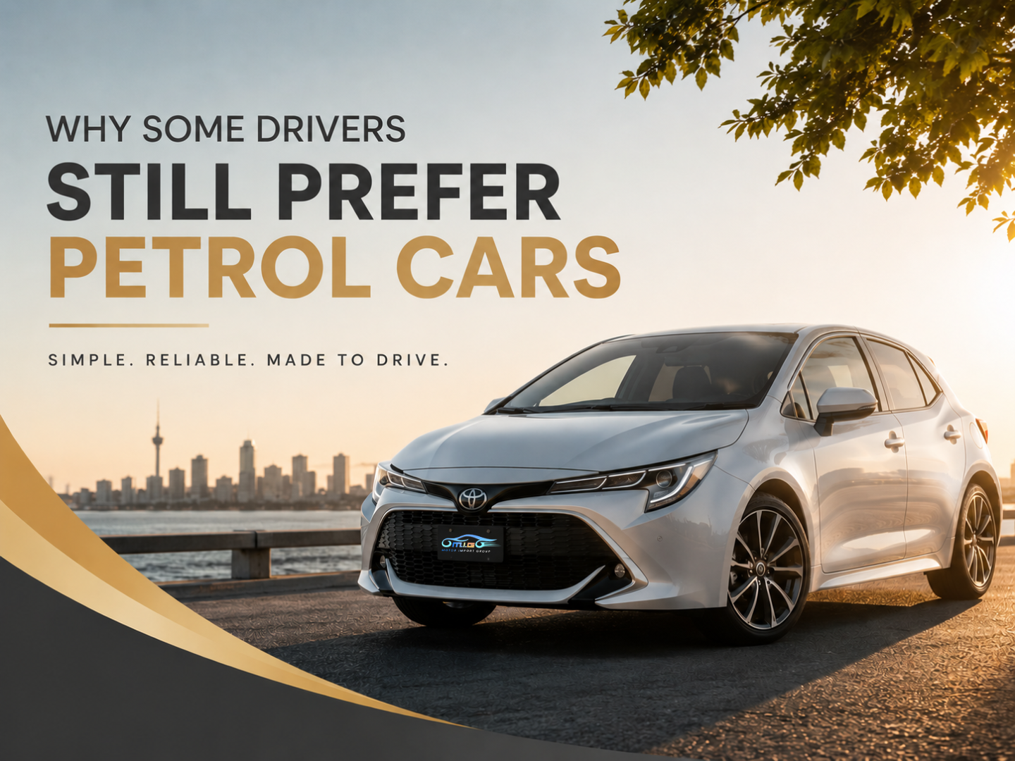 Petrol Cars NZ, Petrol vs Hybrid NZ, Best Petrol Cars New Zealand, Toyota Porte NZ, Toyota Spade NZ, Nissan Cube NZ, Affordable Cars NZ, Used Petrol Cars Christchurch, First Car NZ, Reliable Petrol Cars NZ
